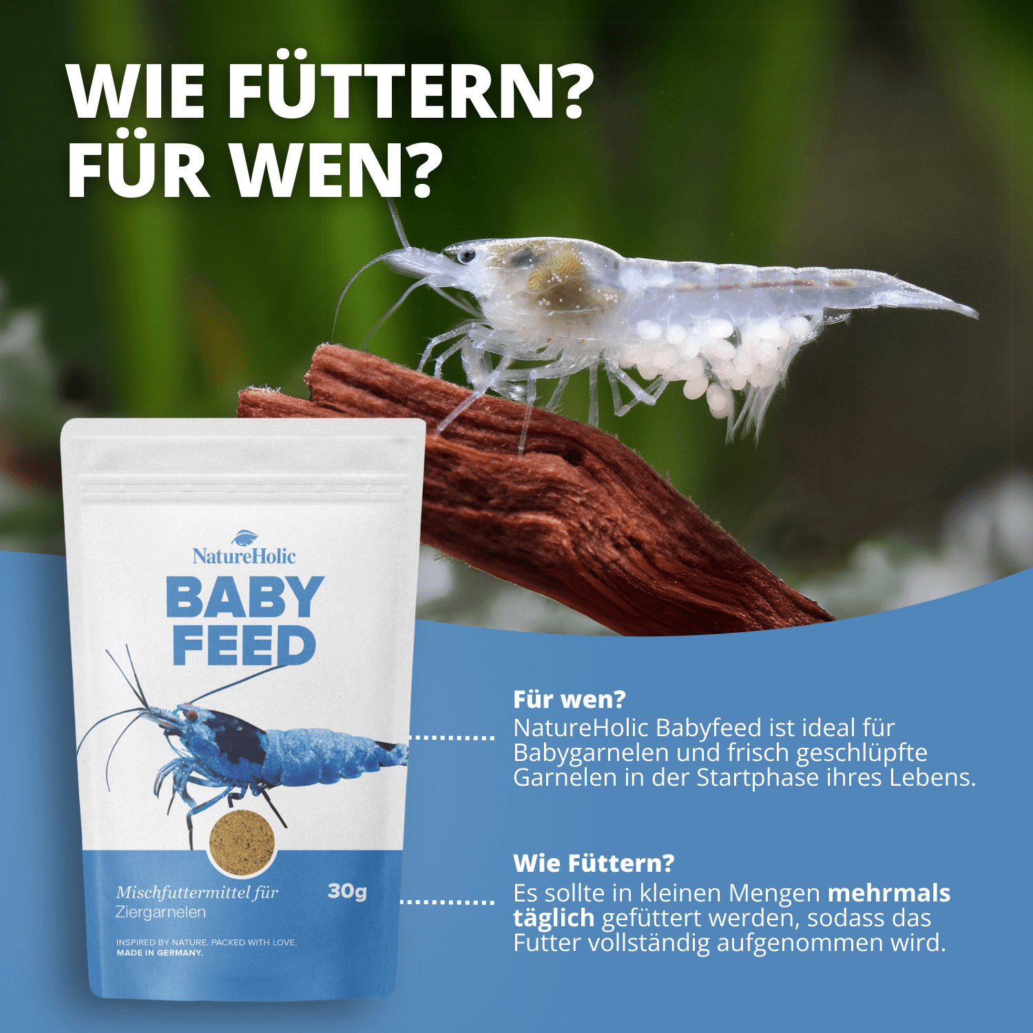 Babyfeed Garnelen