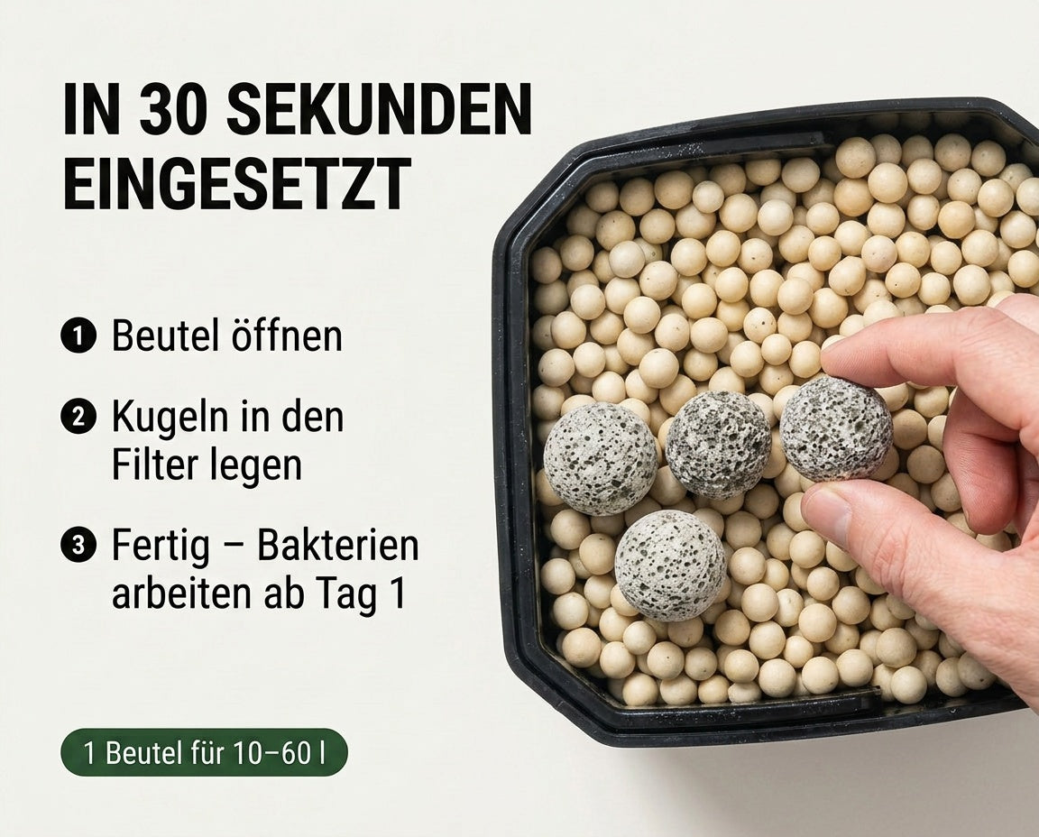 Hand legt BactoBalls Kugeln mit Starterbakterien in den Korb eines Außenfilters