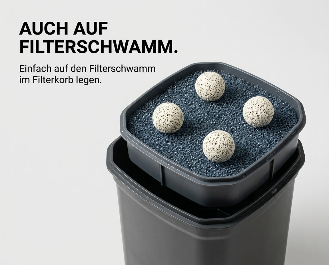 NatureHolic - BactoBalls 4 Stück - lebende Starterbakterien