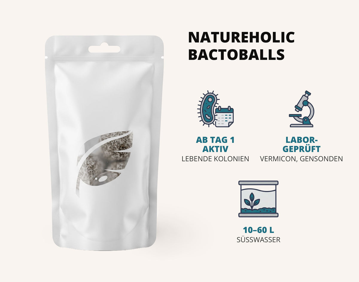 NatureHolic - BactoBalls 4 Stück - lebende Starterbakterien