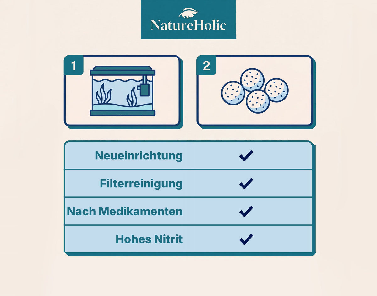 NatureHolic - BactoBalls 4 Stück - lebende Starterbakterien