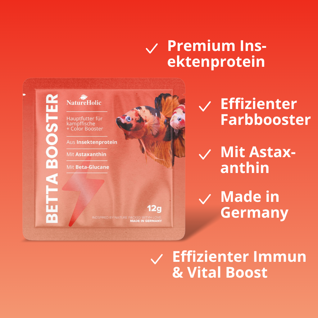 NatureHolic Alles für Kampffische - Komplett Pflege & Futter für Kampffische
