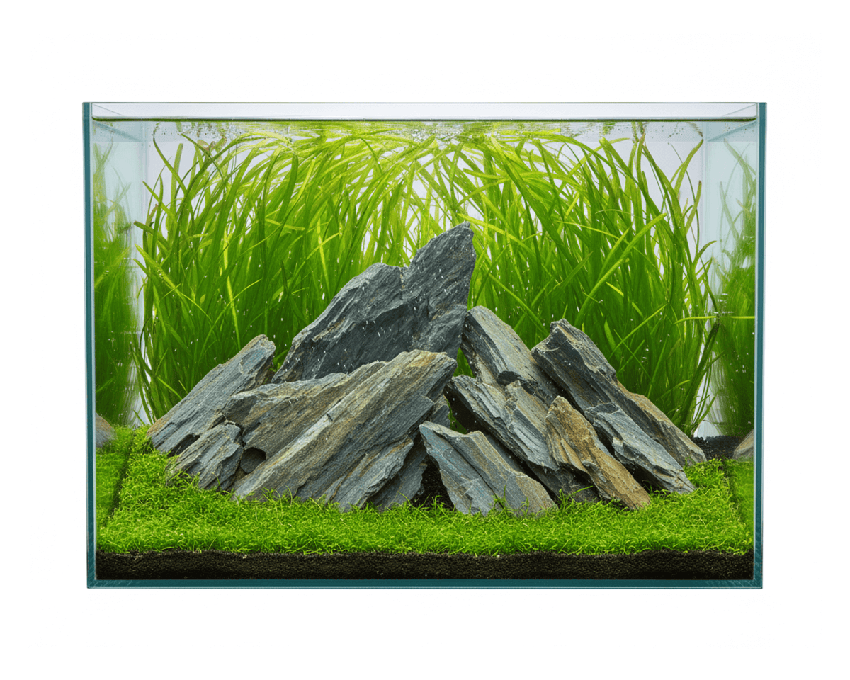 Blue Fine Stone - Stein für Aquarium & Terrarium - 250g Bruch