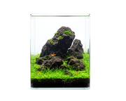 NatureHolic Classic Cube - 12L Aquarium mit Abdeckscheibe