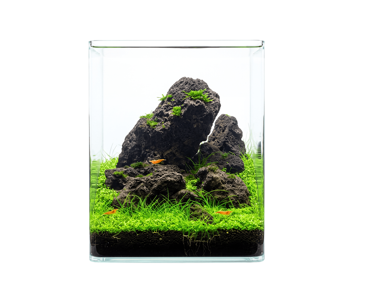 NatureHolic Classic Cube - 12L Aquarium mit Abdeckscheibe