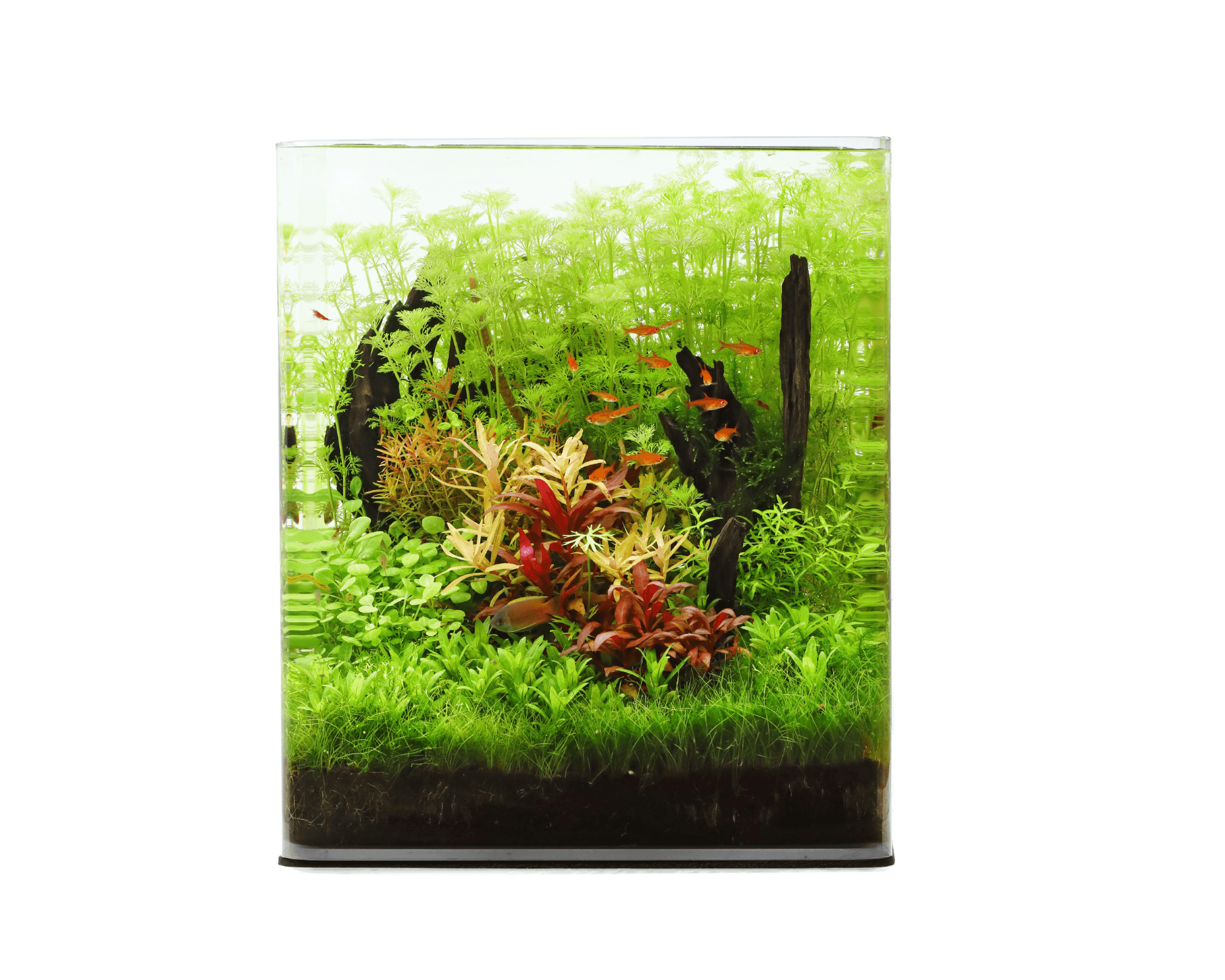 Classic Cube 30L