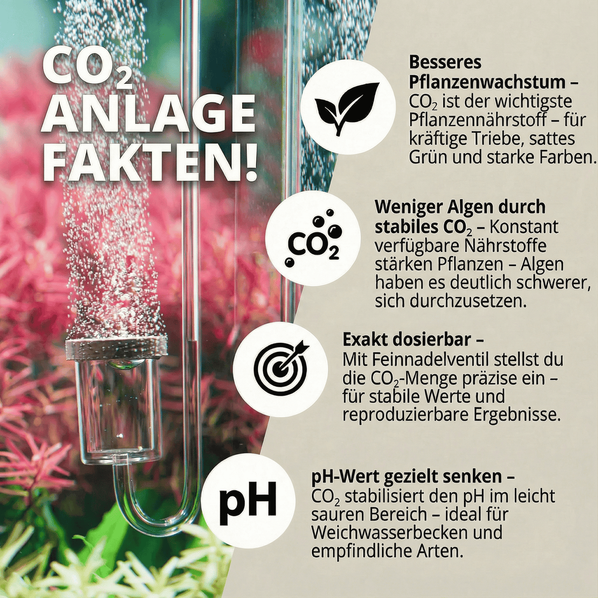 Natureholic - CO2 Anlage Komplett Set Sodastream