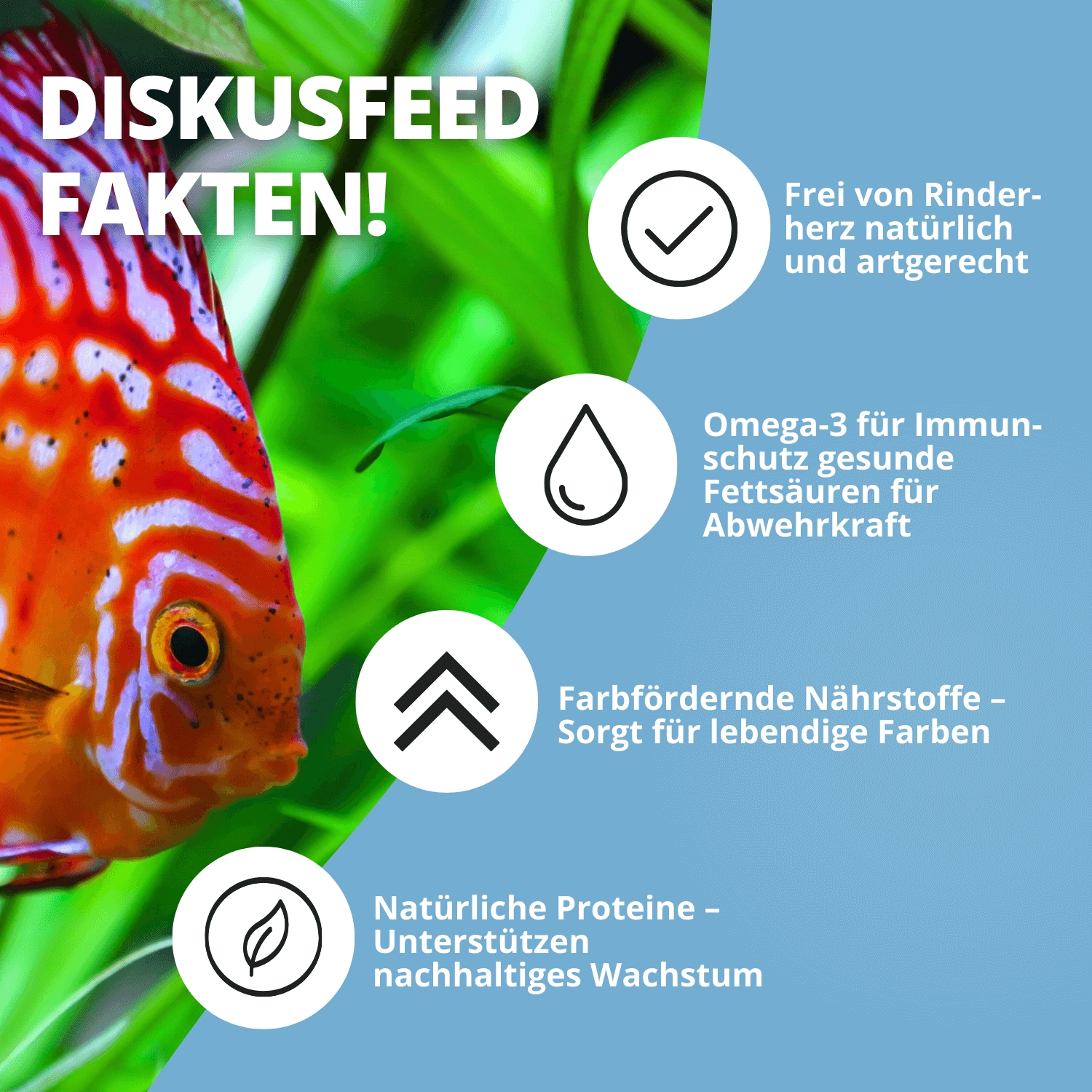 NatureHolic Discusfeed - 130g Granulatfutter für Diskusfische