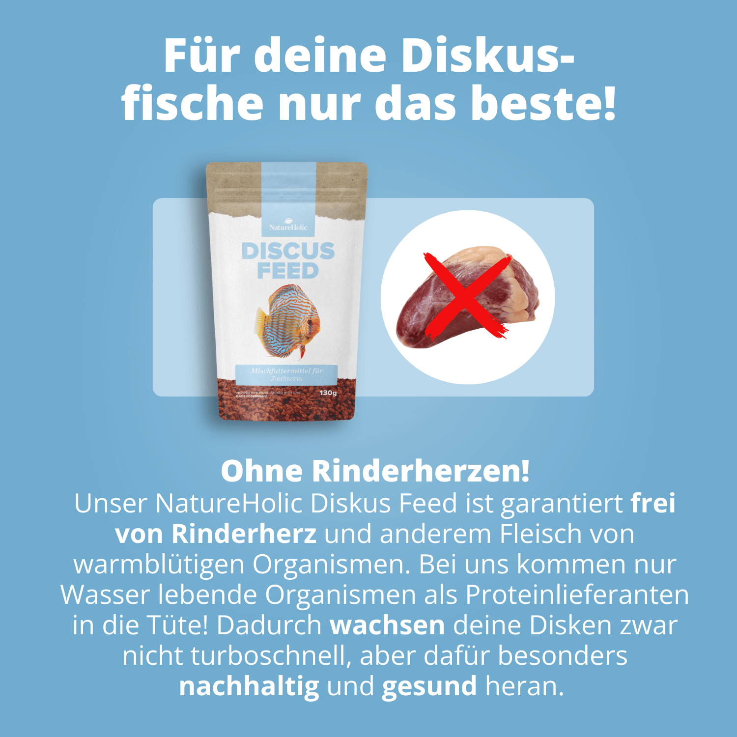 NatureHolic Discusfeed - 130g Granulatfutter für Diskusfische