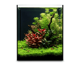 NatureHolic Black Wall - 35L Aquarium mit Rückwand aus schwarzem Glas