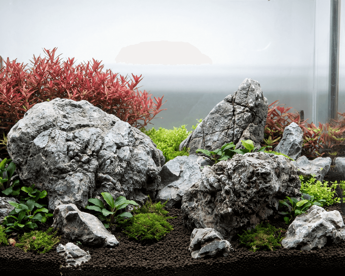 Frodo Stone - Stein für Aquarium & Terrarium - 250g Bruch