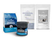 Garnelen Häutungs Booster Mineralien Bundle - Mineralcubes, Mineralfeed & Mineralpudding