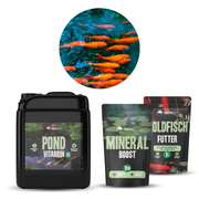 Goldfisch Sorglospaket - 1x Teichzeit Goldfisch Futter, 1x Pond Vitamin & 1x Mineral Boost
