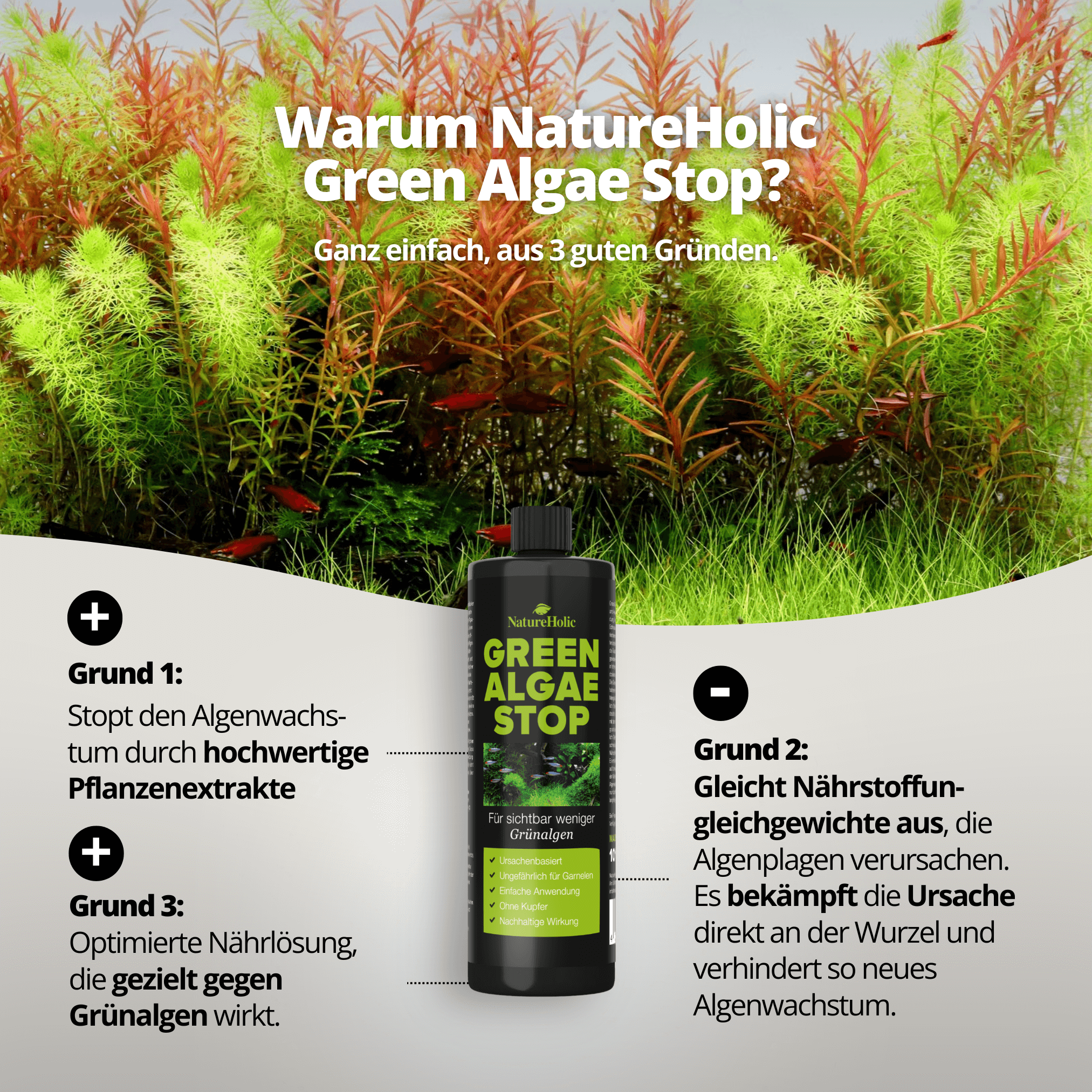 Green Algae Stop