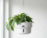 NatureHolic - Hanging JunglePot - selbstbewässernder Hängetopf 21 cm