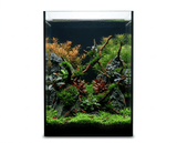 NatureHolic Black Wall - 12L Aquarium mit Rückwand aus schwarzem Glas