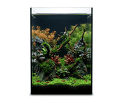 NatureHolic Black Wall - 12L Aquarium mit Rückwand aus schwarzem Glas