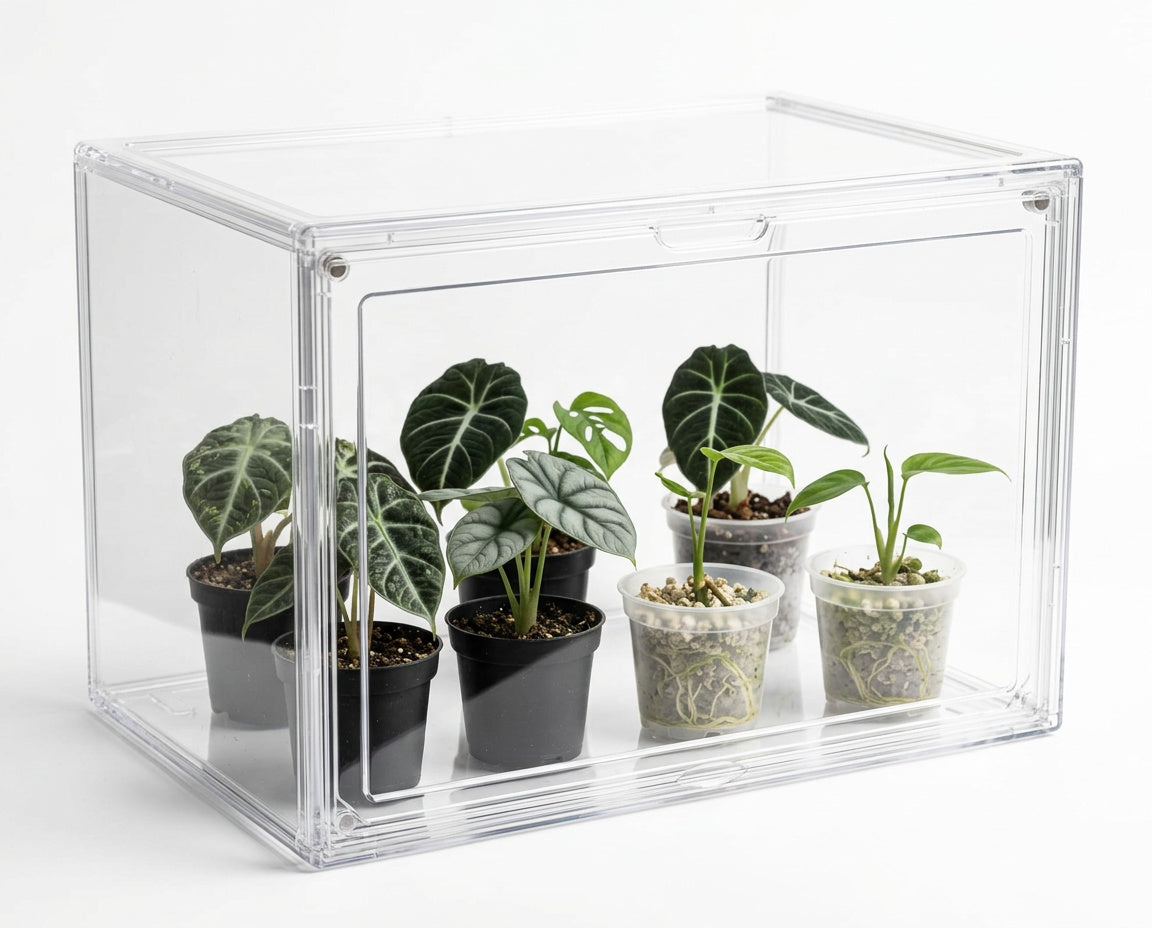 NatureHolic JungleBox Nano Mini Gewächshaus aus Acryl mit Zimmerpflanzen