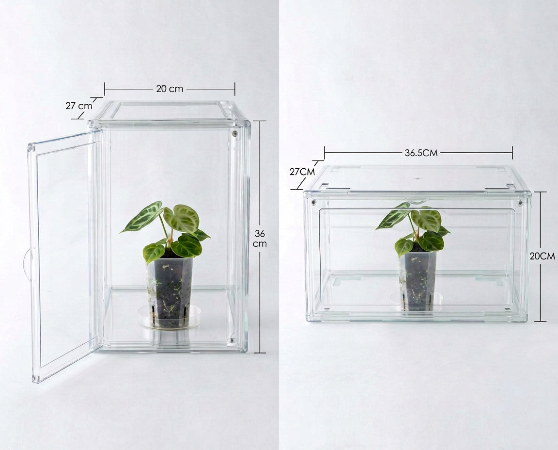 NatureHolic JungleBox Nano mit Maßen 36 x 27 x 20 cm hochkant und quer