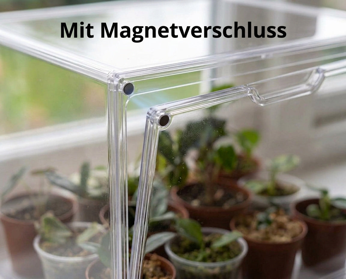 Detailansicht der magnetischen Fronttür der NatureHolic JungleBox Nano