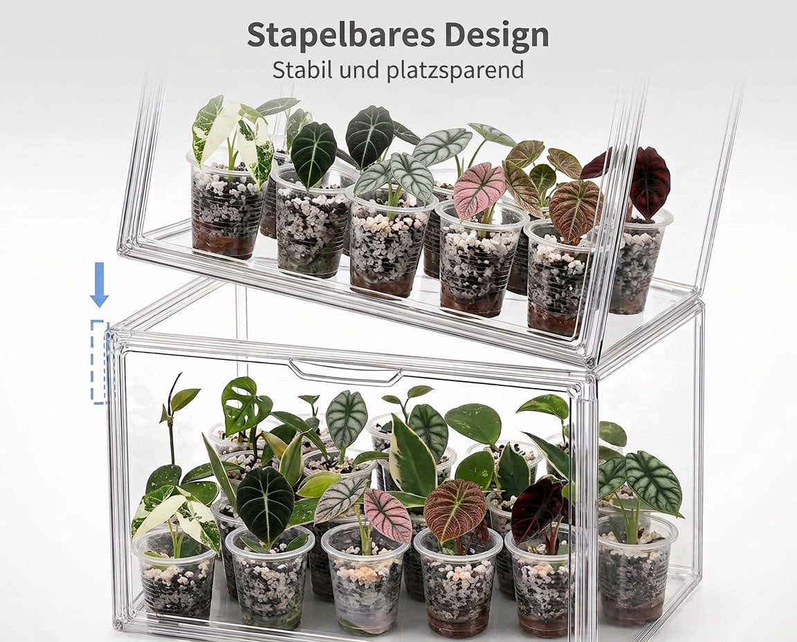 Stapelbares Design der NatureHolic JungleBox Nano mit Jungpflanzen