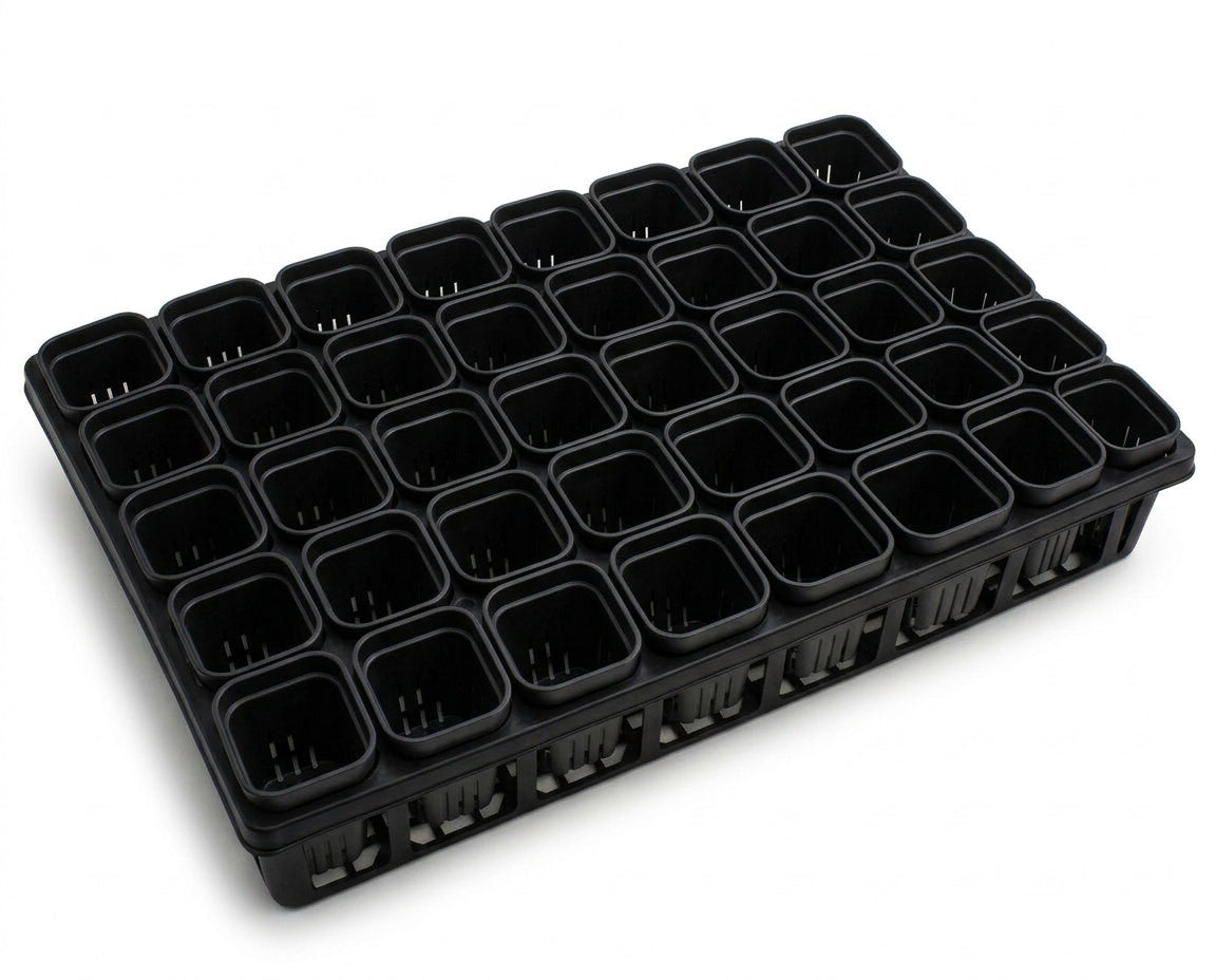 NatureHolic - JungleTray Large Schwarz - Anzuchtplatte mit 40 Töpfen