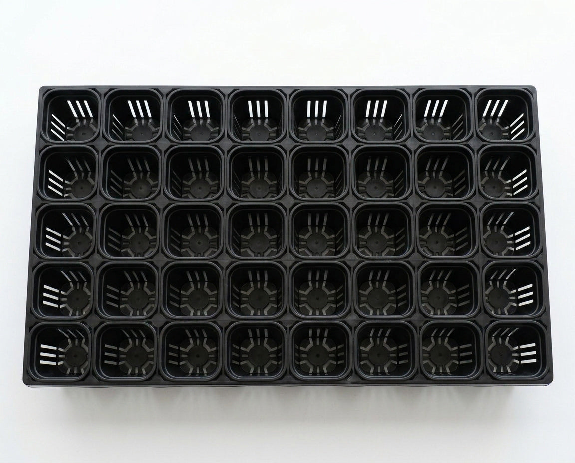 NatureHolic - JungleTray Large Schwarz - Anzuchtplatte mit 40 Töpfen