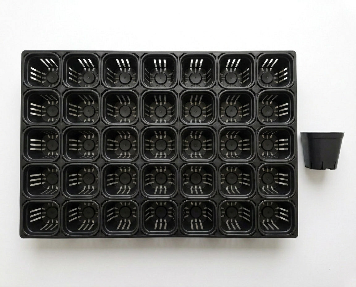 NatureHolic - JungleTray Large Schwarz - Anzuchtplatte mit 40 Töpfen