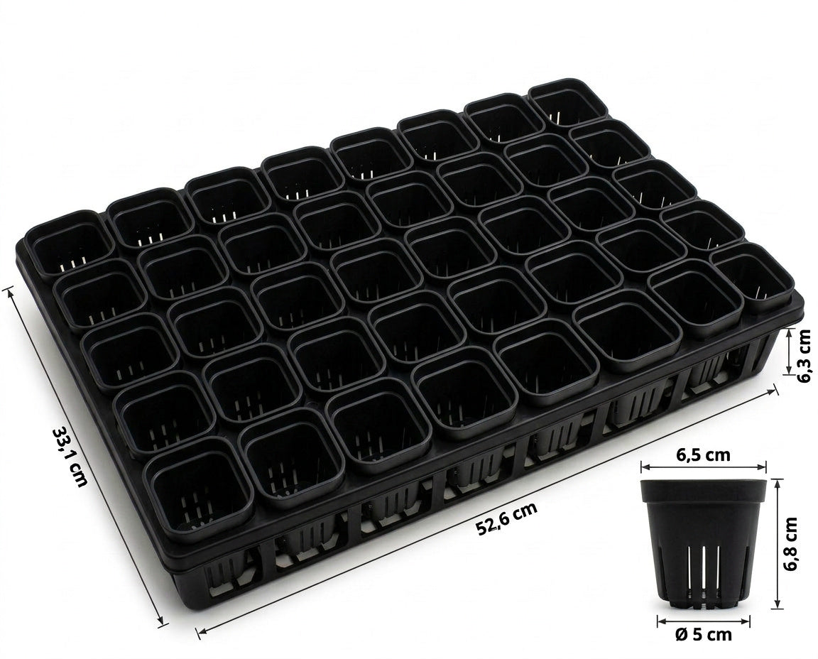 NatureHolic - JungleTray Large Schwarz - Anzuchtplatte mit 40 Töpfen