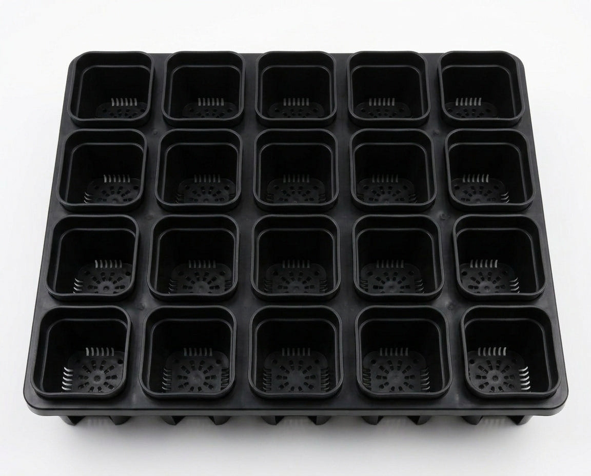 NatureHolic - JungleTray Small Schwarz - Anzuchtplatte mit 20 Töpfen
