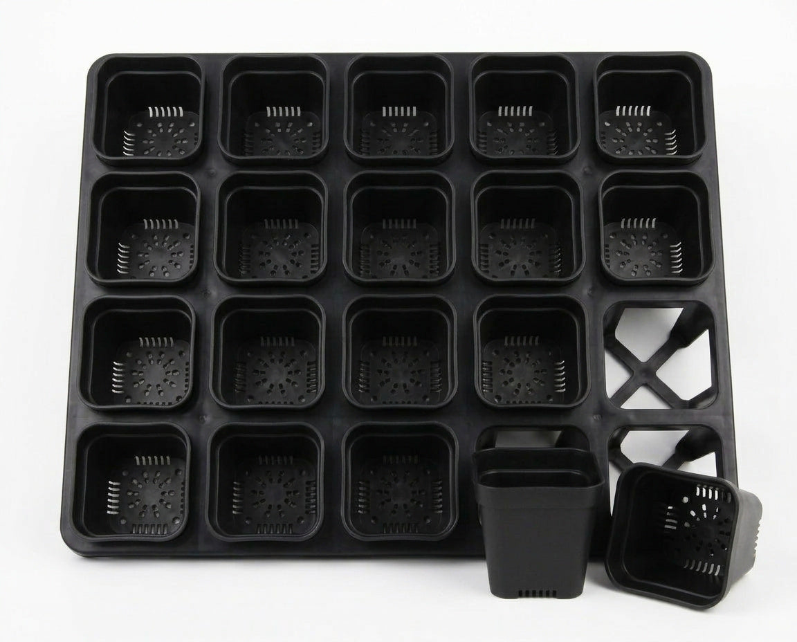 NatureHolic - JungleTray Small Schwarz - Anzuchtplatte mit 20 Töpfen
