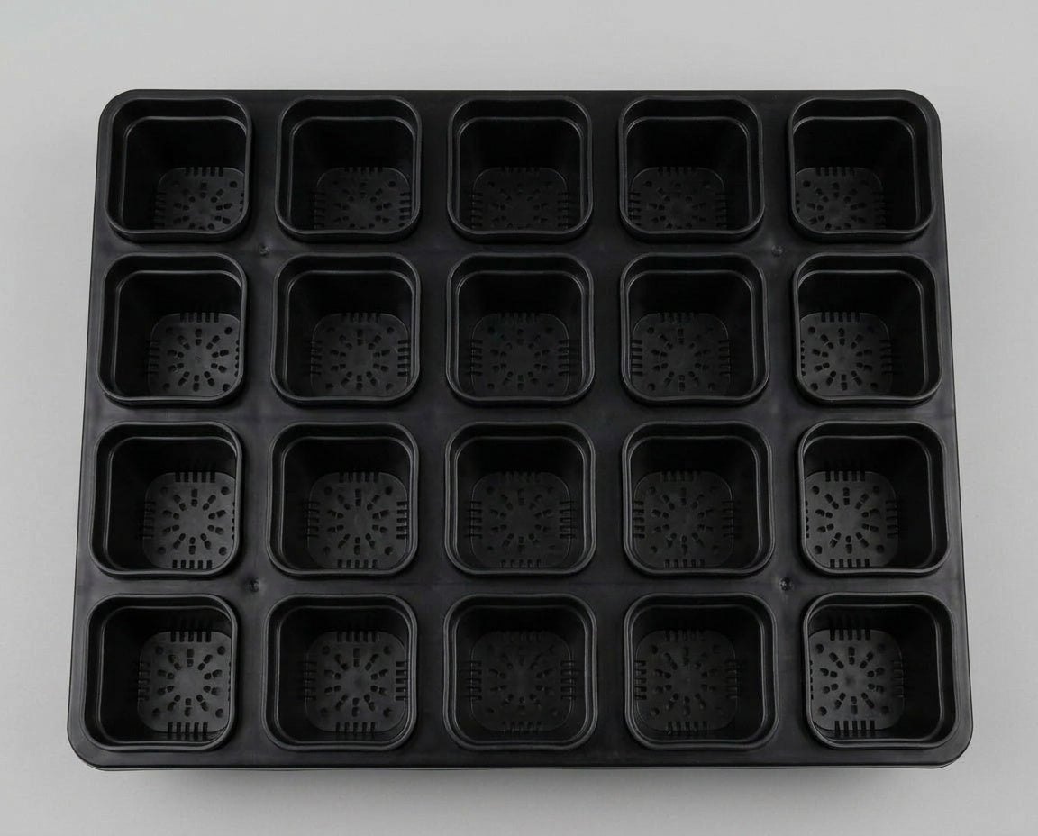 NatureHolic - JungleTray Small Schwarz - Anzuchtplatte mit 20 Töpfen