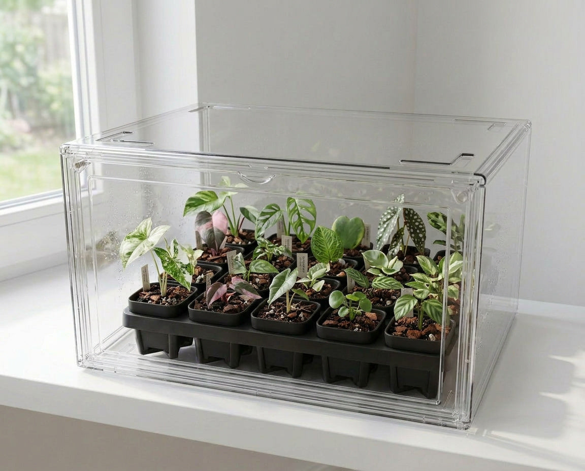 NatureHolic - JungleTray Small Schwarz - Anzuchtplatte mit 20 Töpfen