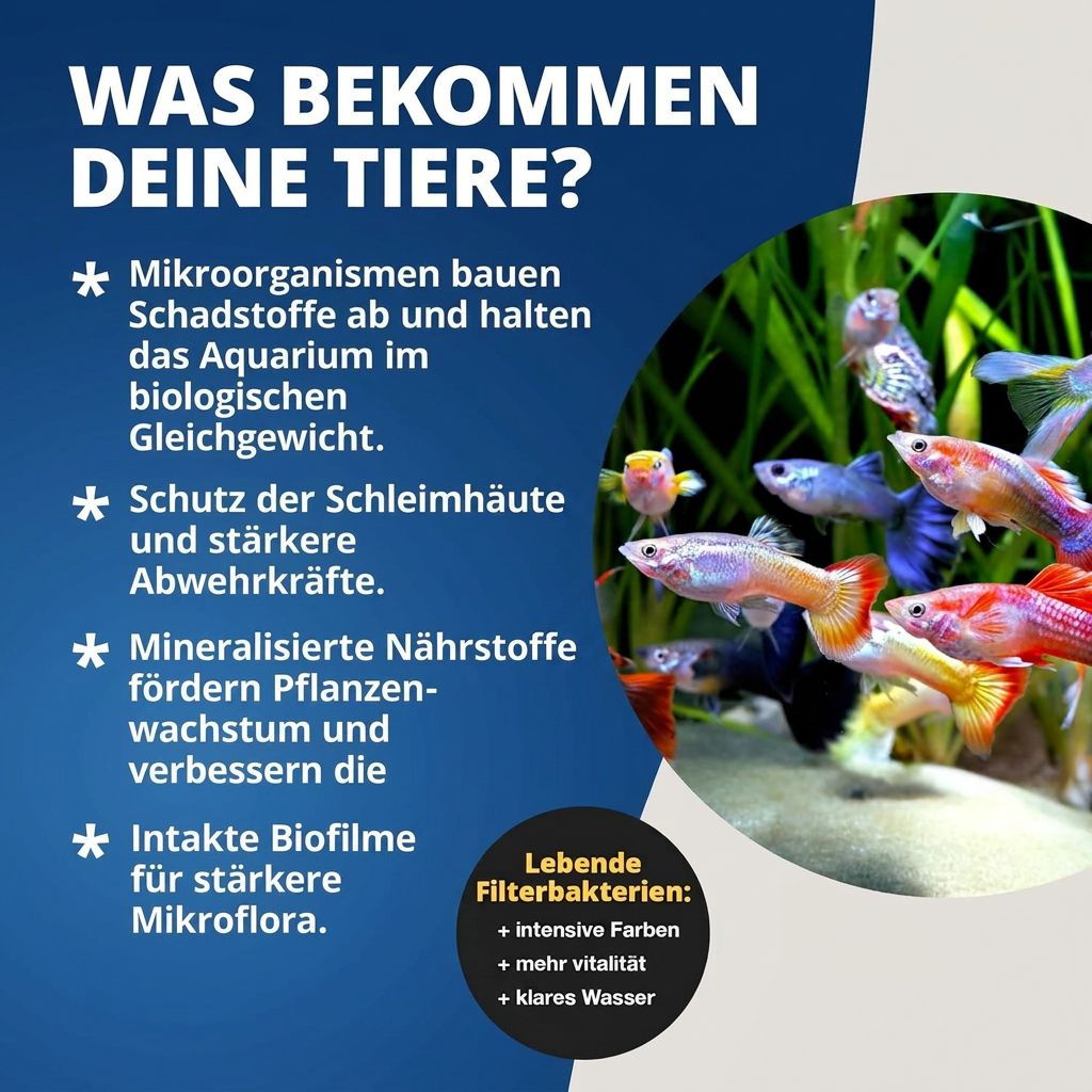NatureHolic - Bacter Liquid - 125ml - Filterstarterbakterien