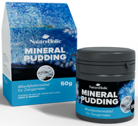 1 × Pudding