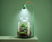 NatureHolic - Nano Spot+ - Beleuchtung für Nano-Aquarien / Wabikusa