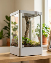 NatureHolic - Advinci Nano Terrarium 20 x 20 x 30 cm - Glasterrarium