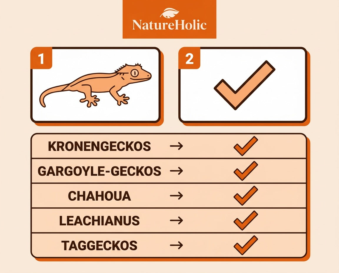 NatureHolic - GeckoFeed 100 g - Instant-Futterpulver für Kronengeckos
