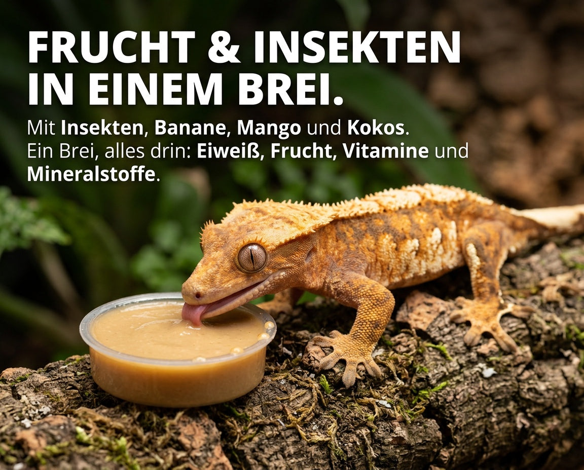 NatureHolic - GeckoFeed 100 g - Instant-Futterpulver für Kronengeckos