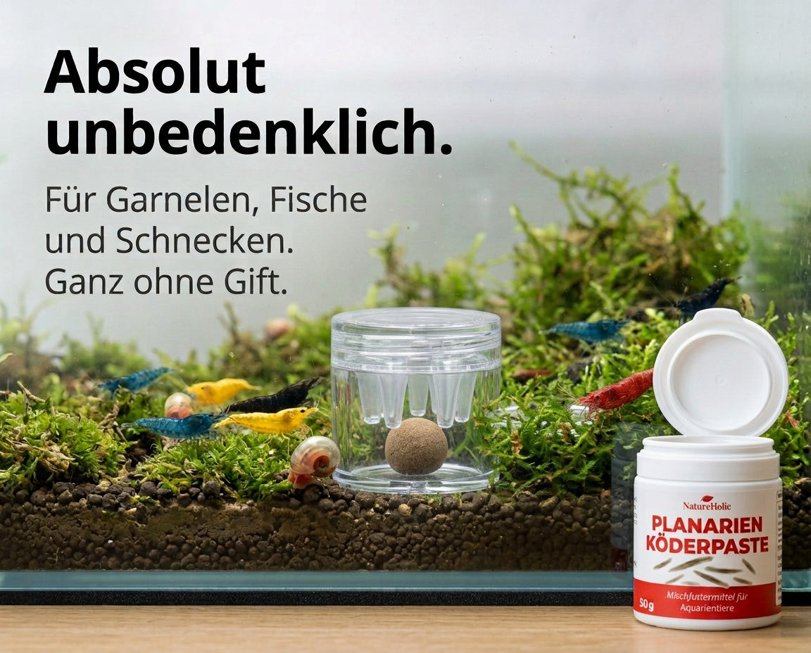 natureholic-planarien-koederpaste-03-ohne-gift-garnelenbecken