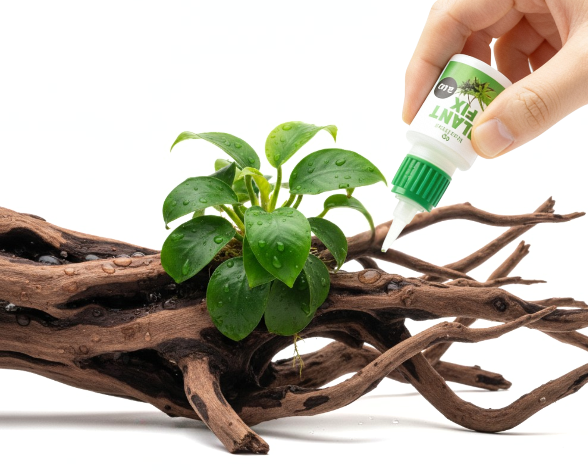 Plant Fix Pflanzenkleber