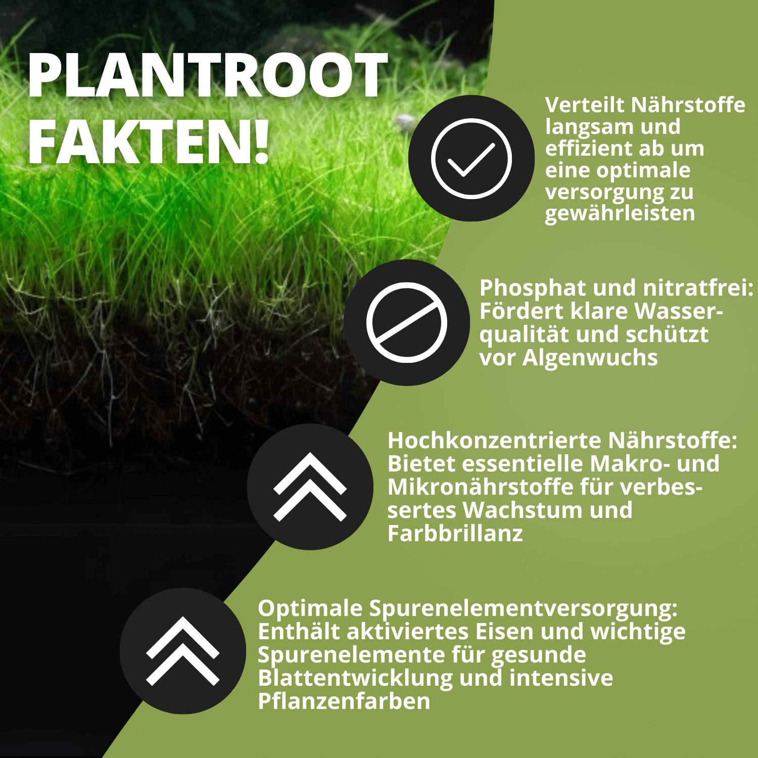 Grow Tab Plantroot