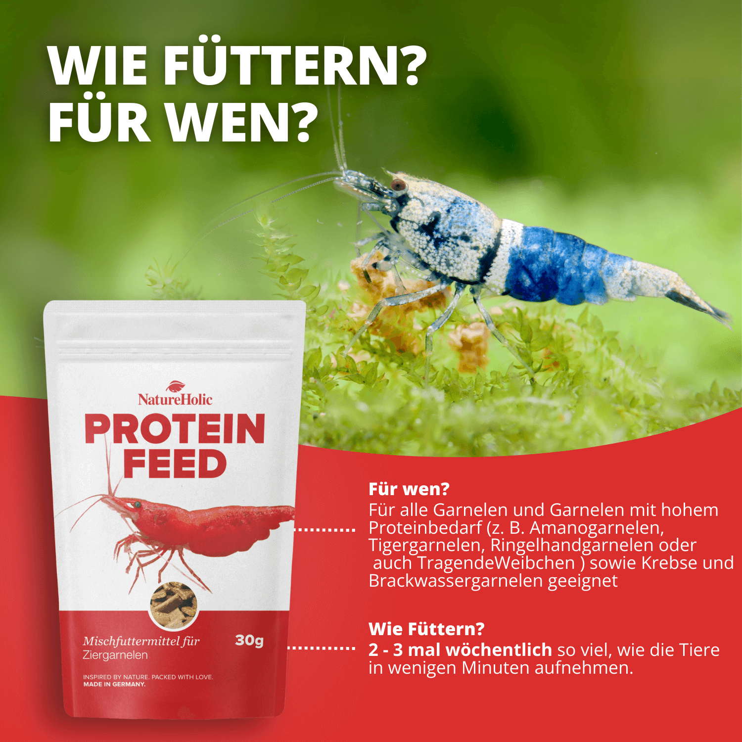 Proteinfeed Probepackung