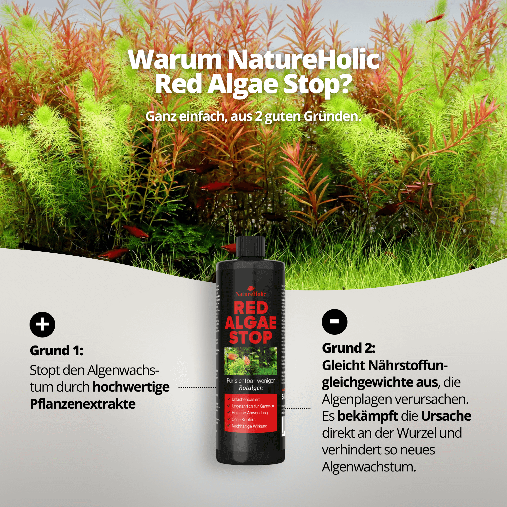 NatureHolic Red Algae Stop - 250ml Rotalgen Entferner