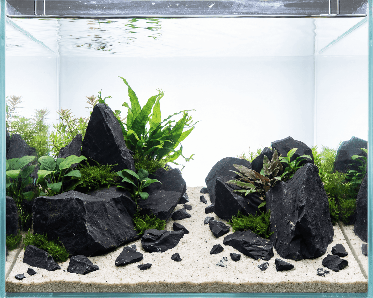 Schwarzer Felsen - Stein für Aquarium & Terrarium - 250g Bruch