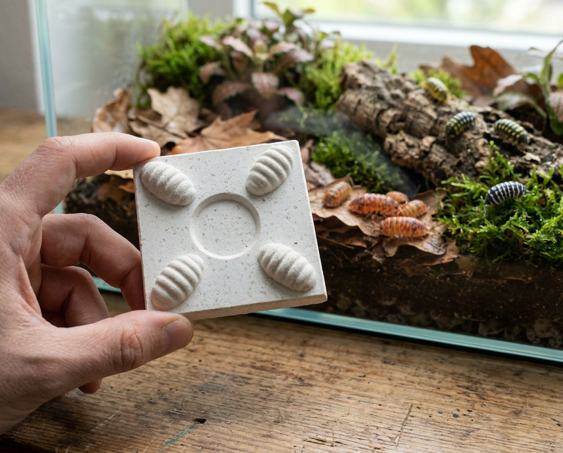 NatureHolic - Assel MineralPlate - Mineral Futterplatte für Asseln