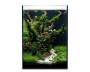 NatureHolic Black Wall - 20L Aquarium mit Rückwand aus schwarzem Glas