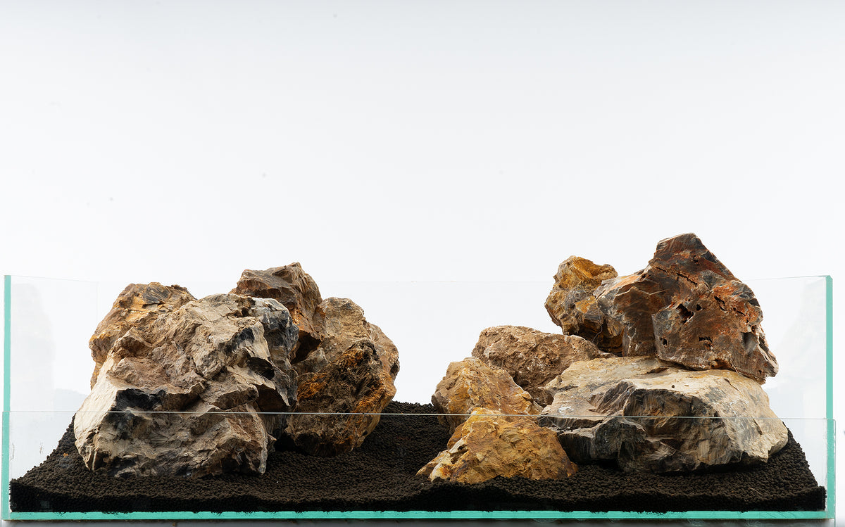 Versteinertes Holz Bunt - Stein für Aquarium & Terrarium - 250g Bruch