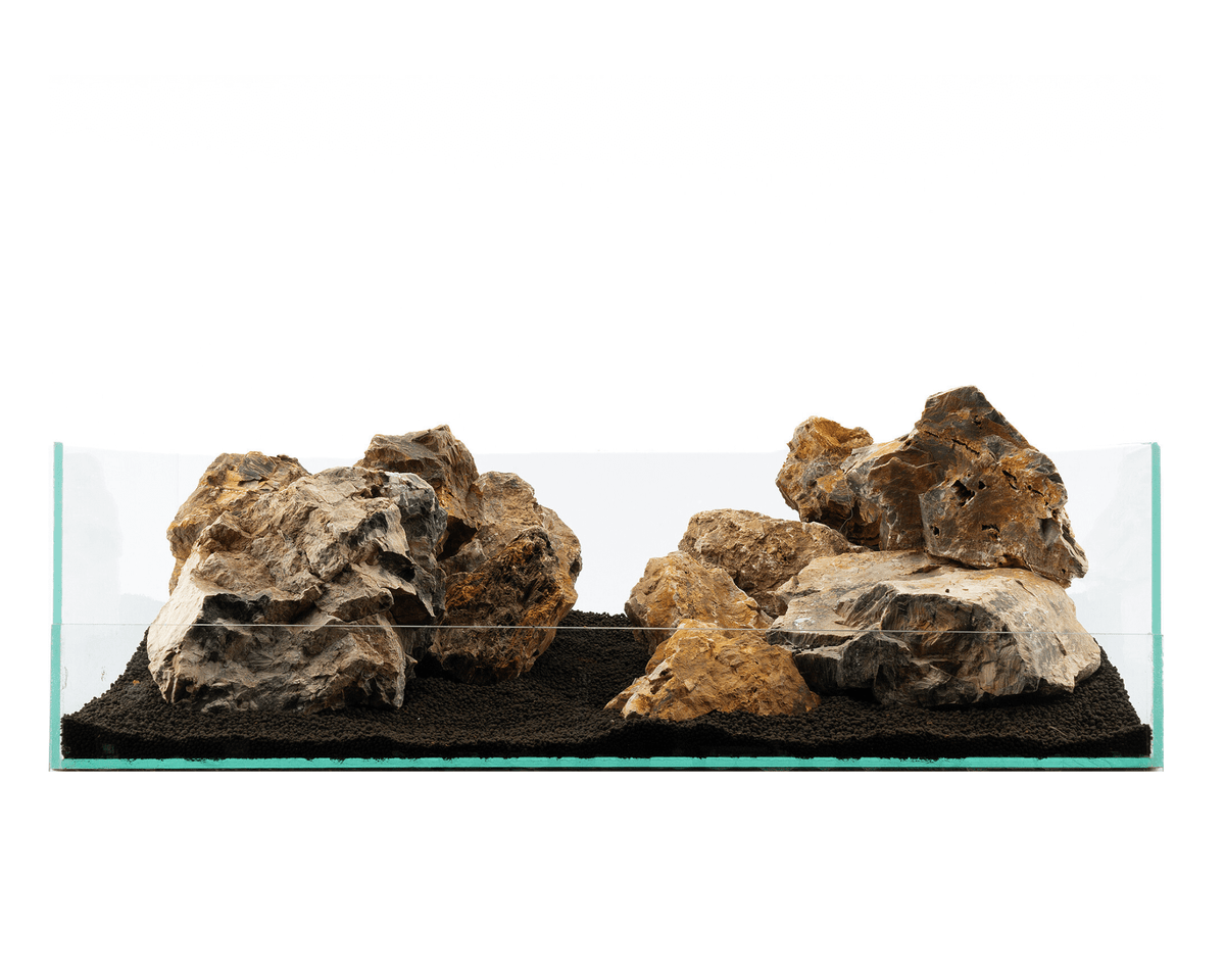 Versteinertes Holz Bunt - Stein für Aquarium & Terrarium - 250g Bruch