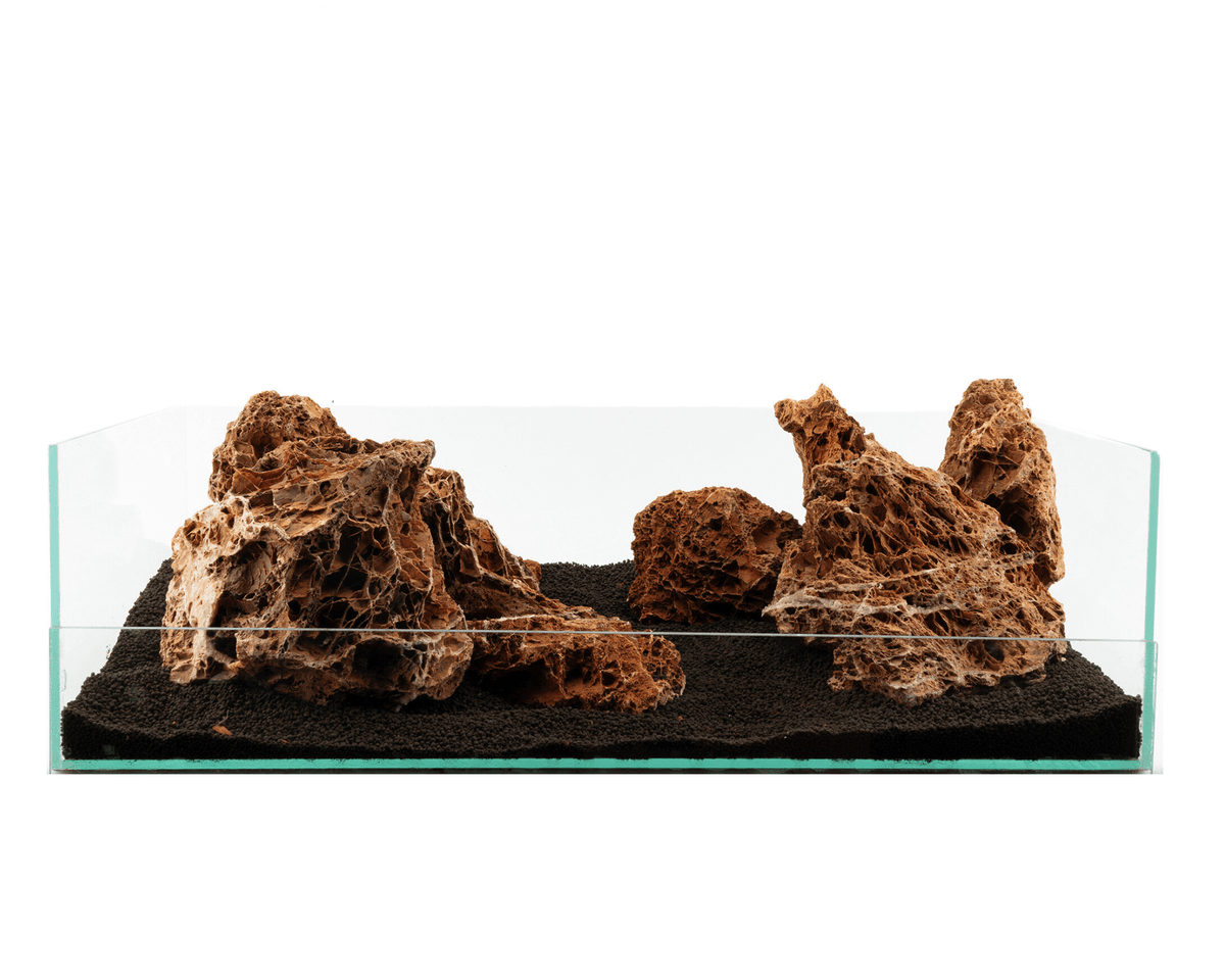 Versteinertes Laub - Stein für Aquarium & Terrarium - 250g Bruch